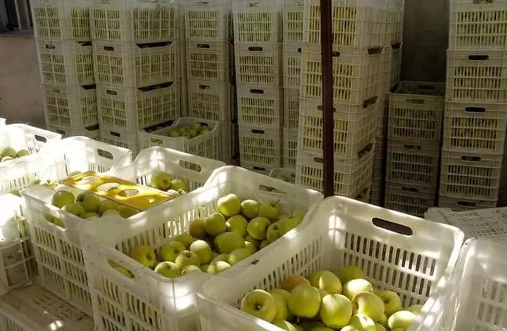 دمشق تبدأ بتصدير التفاح والإجاص لدول الخليج ولا انخفاض بأسعار الخضار حالياً 