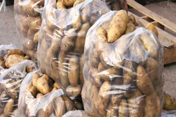 البطاطا المصرية في الأسواق… عضو لجنة الخضر والفواكه بدمشق : انخفاض أسعارها قريباً 