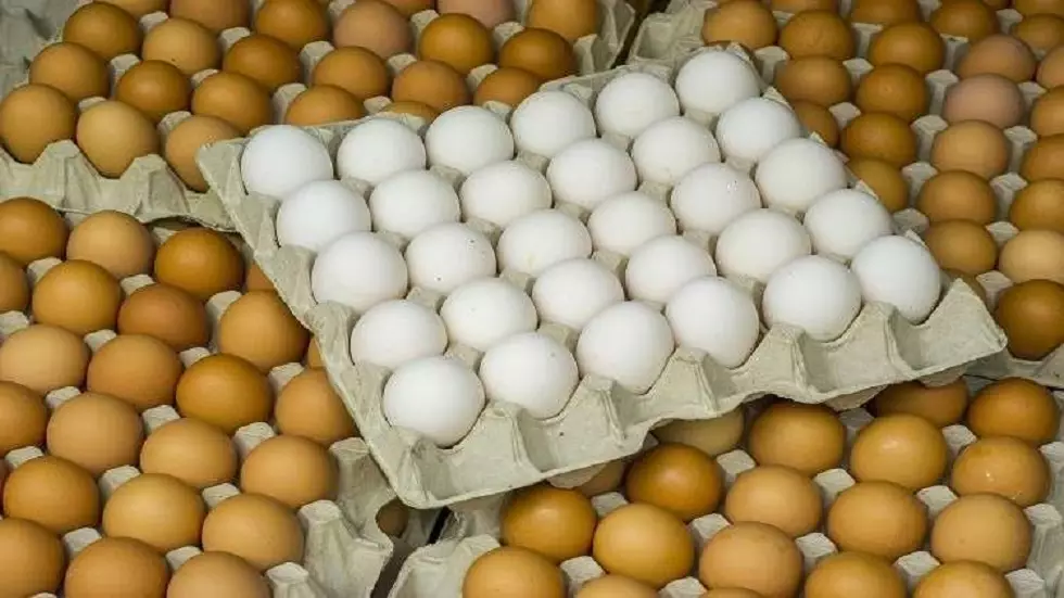 غرفة زراعة دمشق : البيض المتواجد في الأسواق سوري بامتياز 