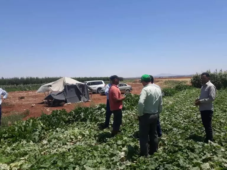 الحكومة تحض اتحاد الفلاحين على تشجيع المزارعين للتحول للري الحديث … خطة سنوية للصندوق الوطني للري 