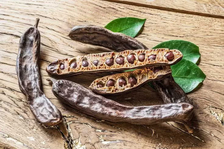 فوائد الخرنوب 